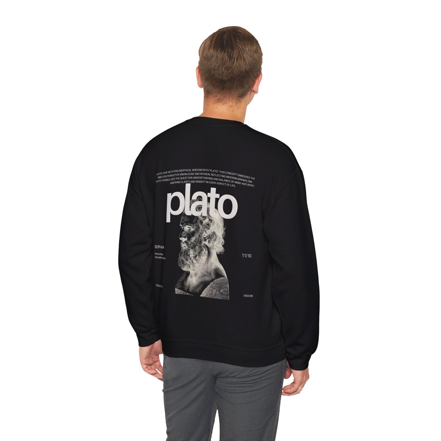 Plato's Wisdom Sweatshirt